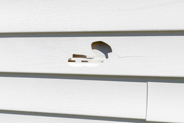 How To Choose The Right Materials for Your Siding Installation in 'West Salem, WI